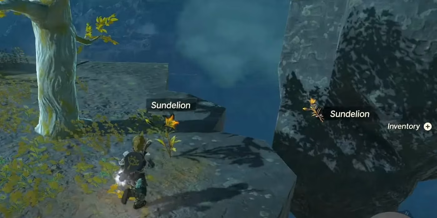 don-t-waste-your-sundelions-the-ultimate-guide-to-surviving-totk-s-endgame-in-2026-image-2