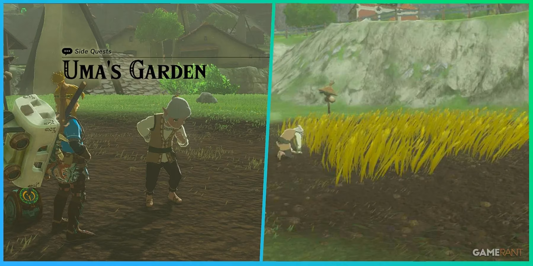cultivating-hyrule-the-poetic-journey-of-uma-s-garden-image-0